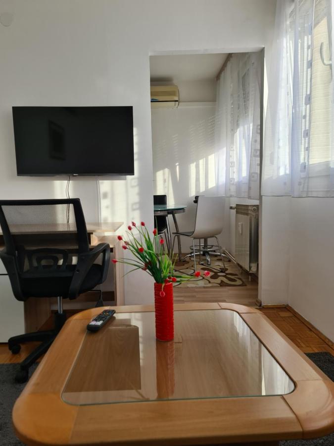 Apartman U Velikoj Gorici Zeljko Velika Gorica Exteriér fotografie